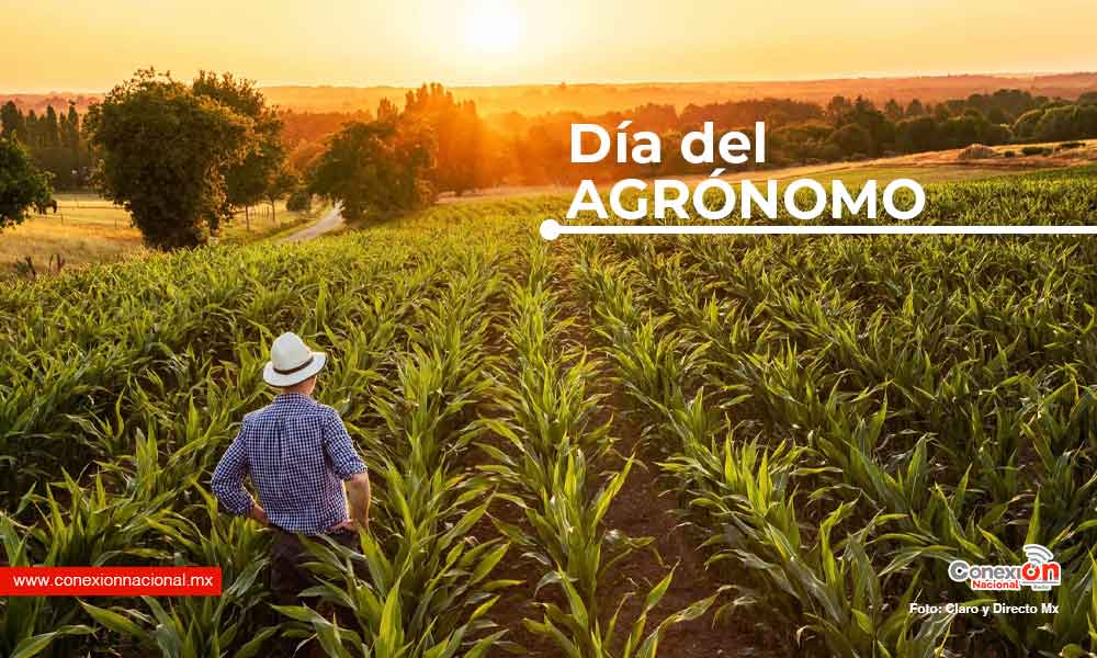 Hoy celebramos a los científicos del campo mexicano, es Día del Agrónomo