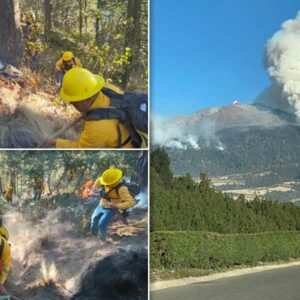 Incendio forestal del Pico de Orizaba ya está controlado