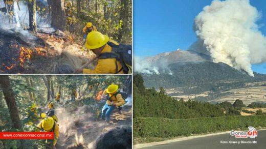 Incendio forestal del Pico de Orizaba ya está controlado