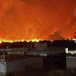 Incendios amenazan humedales