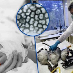 Murió una niña contagiada por el virus de la gripe aviar