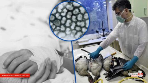 Murió una niña contagiada por el virus de la gripe aviar