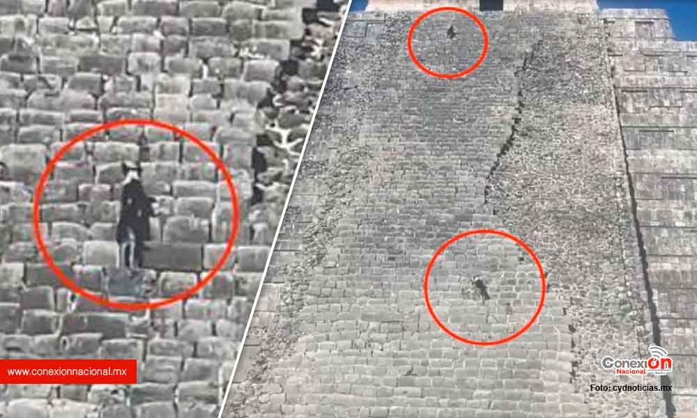 Dos perritos intrépidos dieron un paseo por la pirámide de Kukulcán en Chichén Itzá