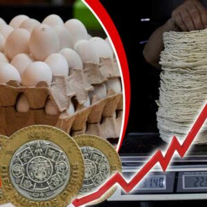 huevo podría aumentar 15%