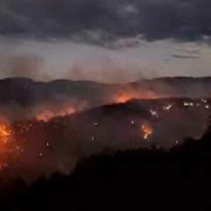Se registra incendio forestal en Mixtepec