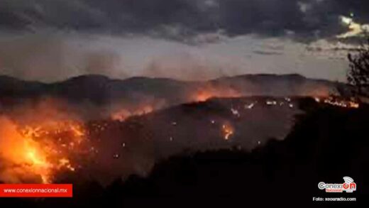 Se registra incendio forestal en Mixtepec