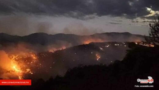 Sin control incendio forestal en San Juan Mixtepec