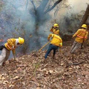 Tras cinco días, sofocan incendio en la Mixteca