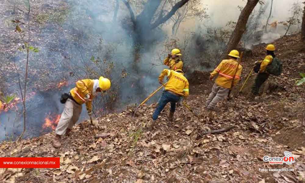Tras cinco días, sofocan incendio en la Mixteca
