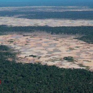 Con vigilancia satelital buscan frenar cambio de uso de suelo ilegal