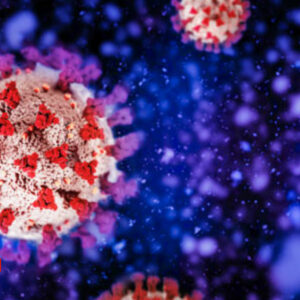 Un informe de EEUU señala cuál fue el origen del COVID en China