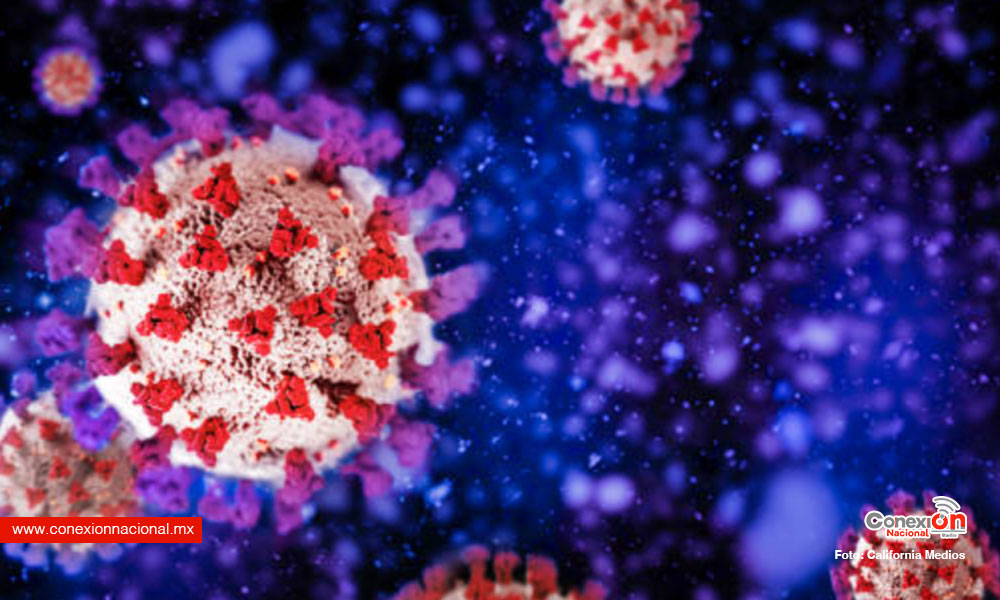 Un informe de EEUU señala cuál fue el origen del COVID en China