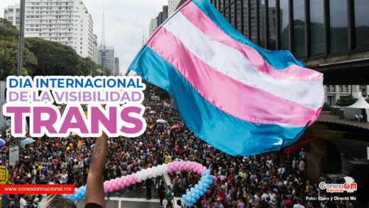 Hoy es el Día Internacional de la Visibilidad Trans: Travesti, Transgenero, Transexual