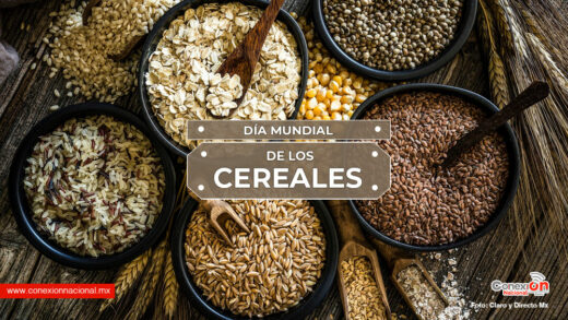 Día Mundial de los Cereales