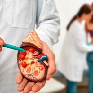 Enfermedades renales