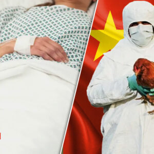 China detecta un caso de gripe aviar H3N8 en una mujer de 56 años