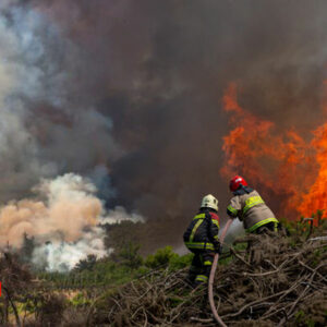 1 mes de incendios forestales en Chile y aún no están apagados