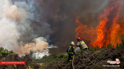 1 mes de incendios forestales en Chile y aún no están apagados