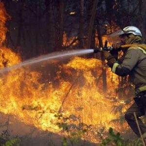 Incendios forestales cobran factura