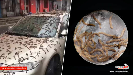 En China aseguran que llovieron gusanos, el fenómeno es asociado a la “luna de gusano”