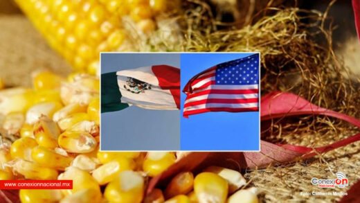 México perdería panel con EU por maíz transgénico, advierten