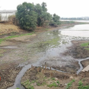 sequía lagos de Pátzcuaro y Cuitzeo