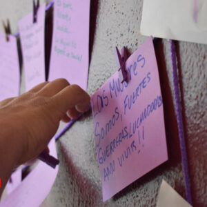 IMMUJER Tijuana organiza “Tendedero Morado”