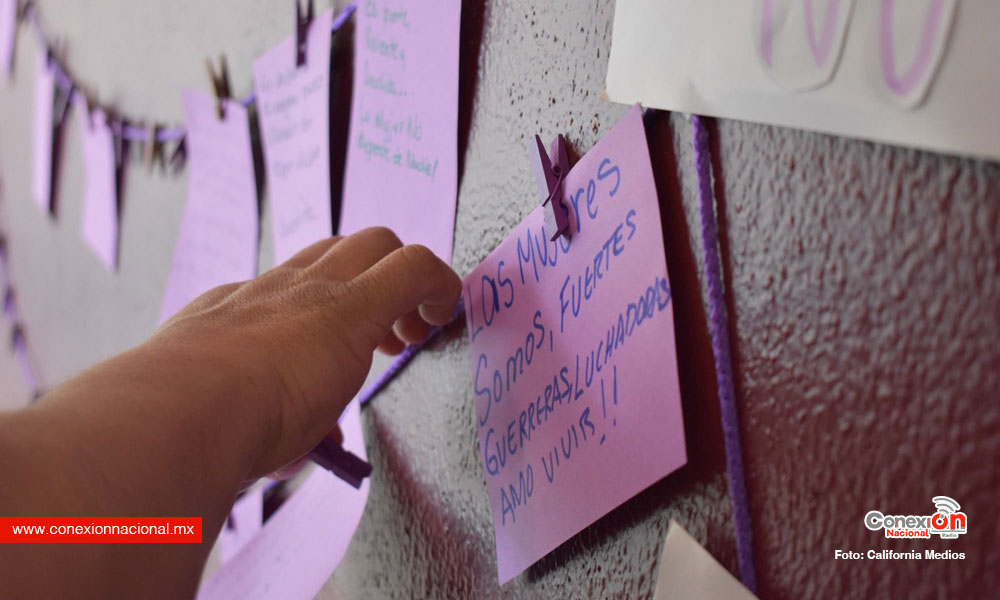 IMMUJER Tijuana organiza “Tendedero Morado”