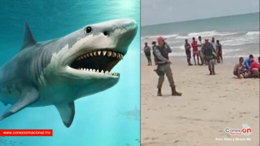 Tiburones atacan tres veces en menos de 24 horas a turistas