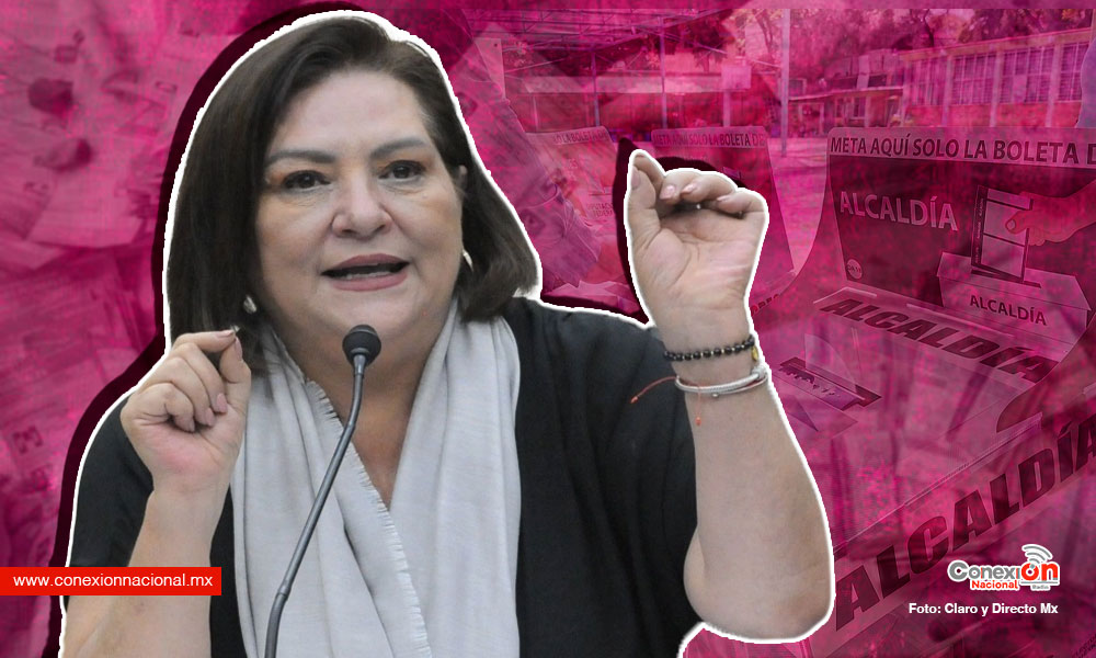 Promete Guadalupe Taddei elecciones más baratas y un INE plural
