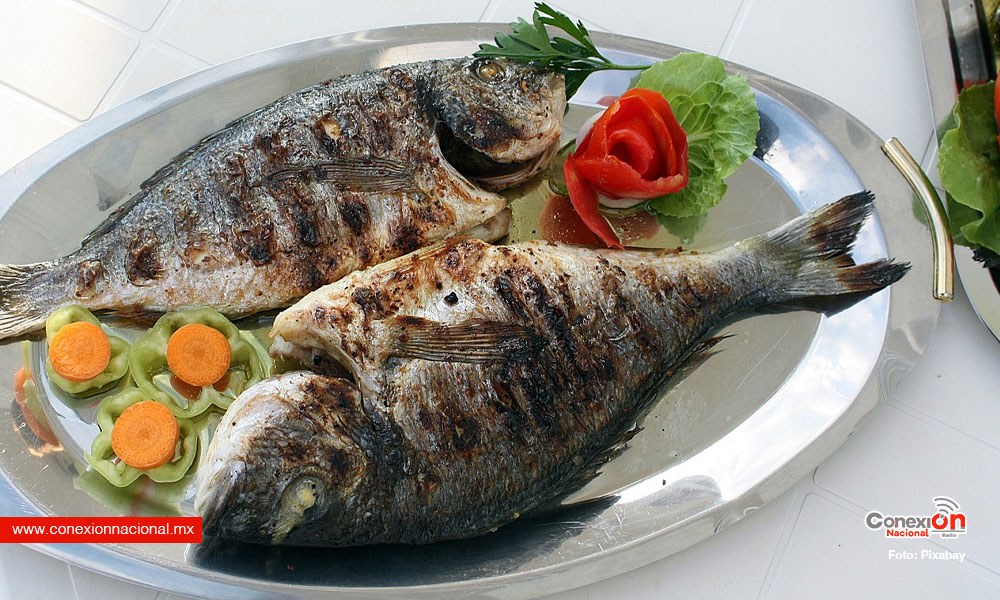 Emite sector salud recomendaciones para el consumo de pescados y mariscos