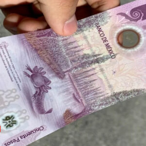 Billete de 50 pesos del ajolote se vende en 3 millones de pesos